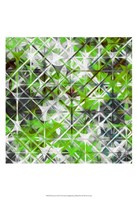 Starscreen III Fine Art Print