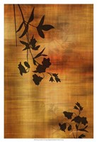 Sepia Floral II Fine Art Print
