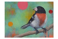 Mysteries of the Universe XI Fine Art Print