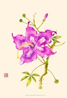 Hibiscus Flower I Fine Art Print