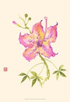 Hibiscus Flower IV Fine Art Print