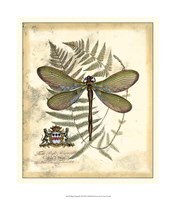 Regal Dragonfly II Fine Art Print