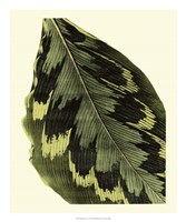 Grandiose Leaves I Fine Art Print