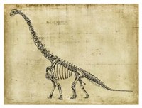 Brachiosaurus Study Fine Art Print