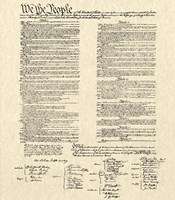 Constitution Document Fine Art Print