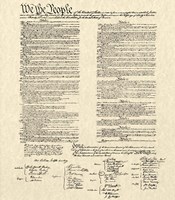Constitution Document Framed Print