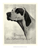 B&W Brague du Bourbonnais Fine Art Print