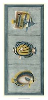 Tropical Fish Trio I Fine Art Print