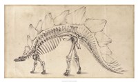Dinosaur Study III Fine Art Print