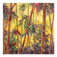 Bamboo Grove II Framed Print