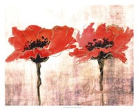 Vivid Red Poppies V Fine Art Print