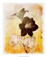 Brocade Garden II Fine Art Print