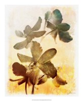 Brocade Garden III Fine Art Print