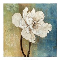 Full Bloom I Fine Art Print
