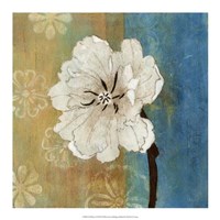 Full Bloom II Fine Art Print