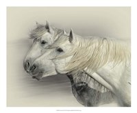 Curiosity Fine Art Print