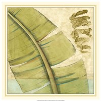 Peacock Palm III Fine Art Print