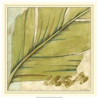 Peacock Palm IV Fine Art Print