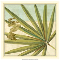 Peacock Palm V Fine Art Print