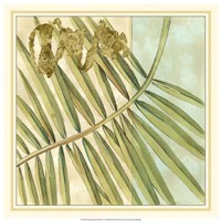 Peacock Palm VI Fine Art Print