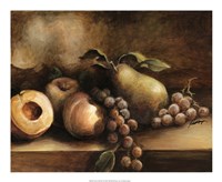 Classic Still Life I Framed Print