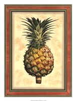 Pineapple Splendor I Framed Print