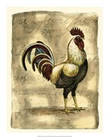 Tuscany Rooster I Framed Print