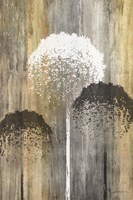 Rustic Garden I Framed Print