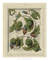 Decorative Flourish II Fine Art Print