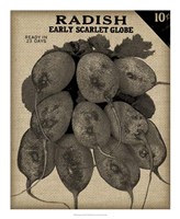 Vintage Seed Pack I Fine Art Print