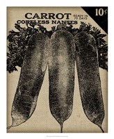 Vintage Seed Pack II Fine Art Print