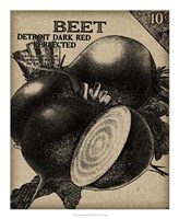 Vintage Seed Pack III Framed Print