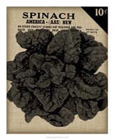 Vintage Seed Pack VI Fine Art Print