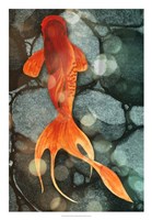 Fantail II Fine Art Print