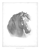 Equestrian Blueprint II Fine Art Print