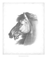 Equestrian Blueprint III Fine Art Print