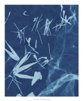 Cyanotype No.6 Fine Art Print