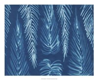 Cyanotype No.7 Fine Art Print