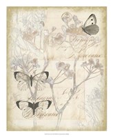 Sunset Lace I Framed Print