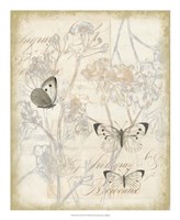 Sunset Lace II Framed Print