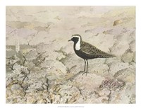 Perched Fine Art Print