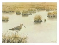 Waiting Fine Art Print