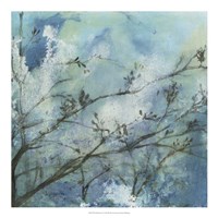 Moonlit Branches I Fine Art Print
