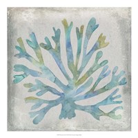 Watercolor Coral I Fine Art Print