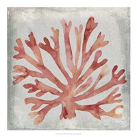 Watercolor Coral III Fine Art Print