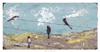 Highwire Act Fine Art Print
