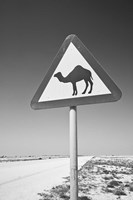 Qatar, Al Zubarah. Camel Crossing Sign-Road to Al-Zubarah NW Qatar by Walter Bibikow - various sizes