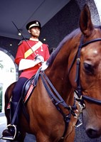 Malaysia, Kuala Lumpur: a mounted guard stands in front of the Royal Palace Fine Art Print