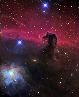 Horsehead Nebula by R Jay GaBany - various sizes
