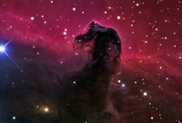 The Horsehead Nebula Fine Art Print